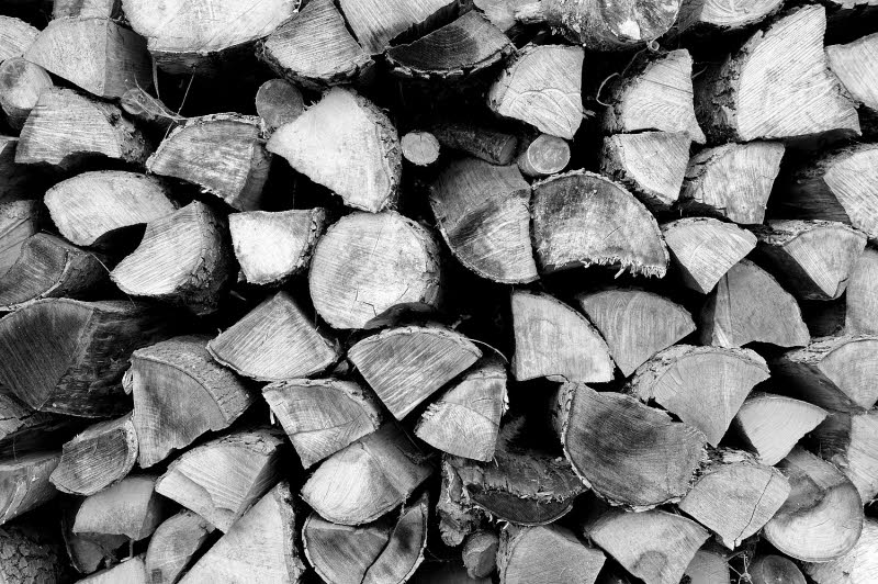 20120219_145026_DSC_1031